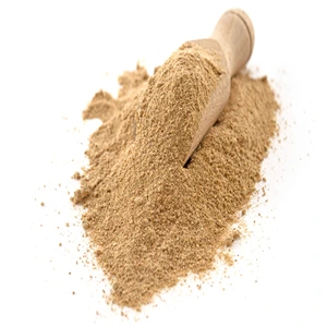 AMCHUR POWDER